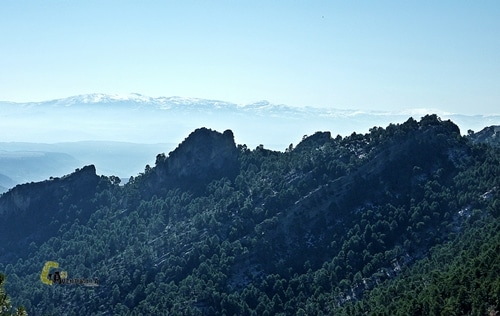 Sierra del Pozo
