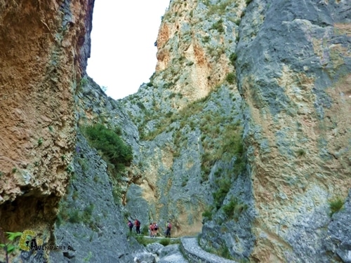 Barranc del Cint