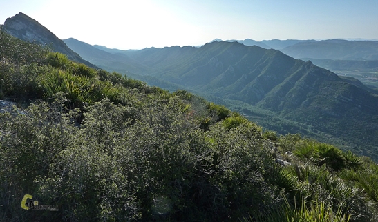 Parque Natural Municipal de los Valles de la Murta y la Casella