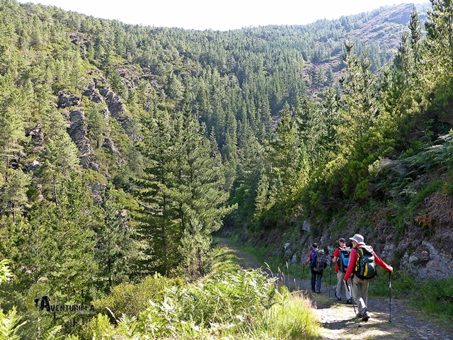 Camino Natural de la Cordillera Cantábrica