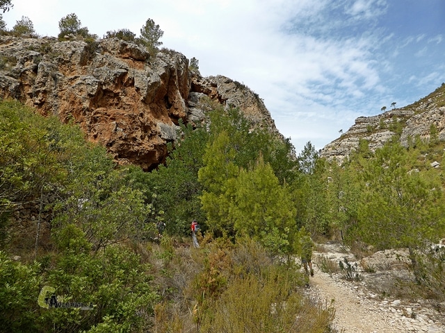 Cueva Tejedor