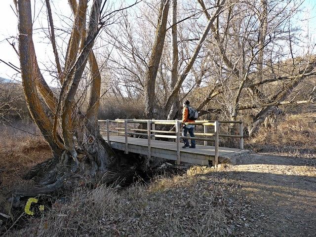 Puente de madera en el río Camarena