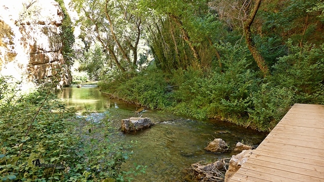 El río Guadalaviar