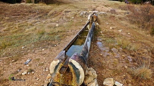 Fuente con troncos