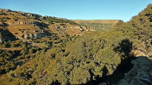 Vistas del barranco del Pinello
