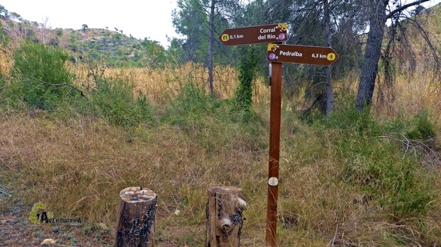 Paletas de senderismo en Pedralba