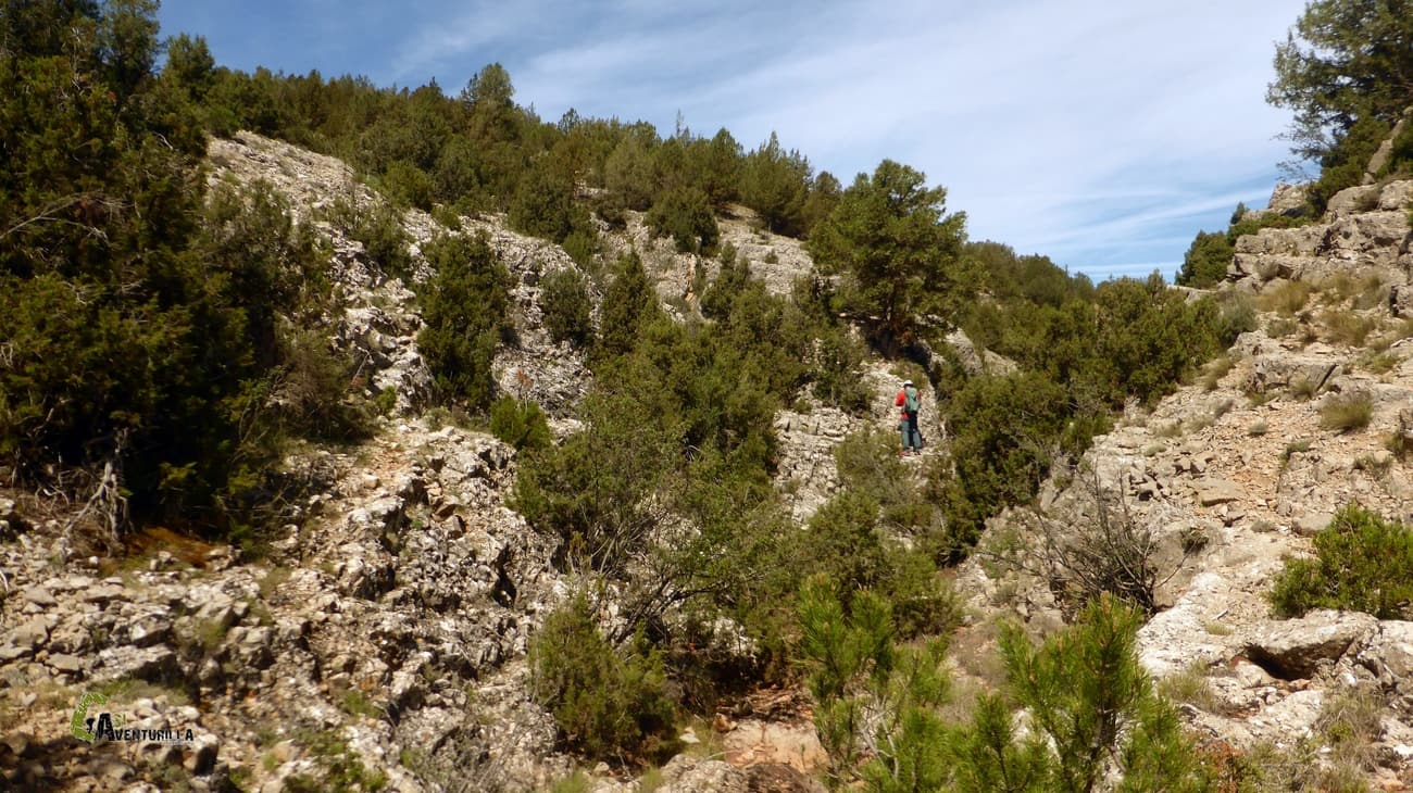 Buscando el mejor paso en el barranco
