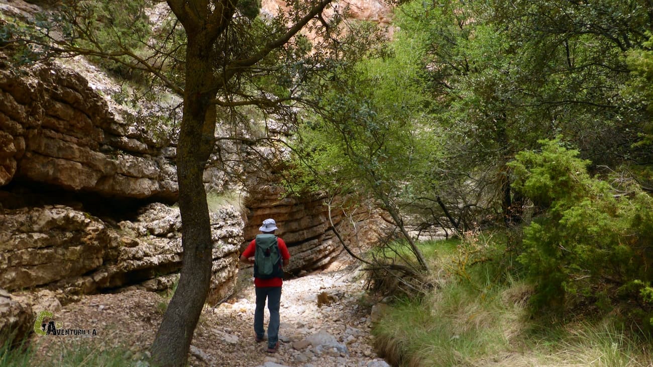 Paraje cerrado dentro del Barranco del Chorrillo