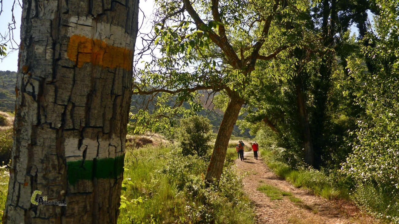 Marcas de senderismo en el barranco de los Amanaderos