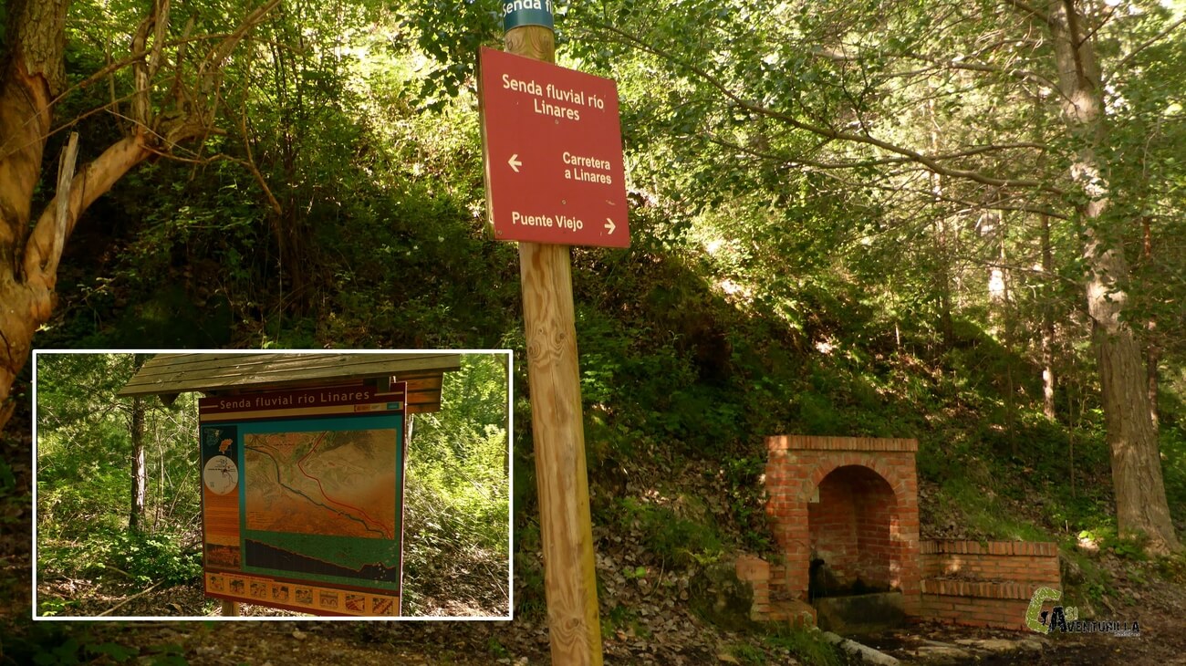 En la fuente Bartolo