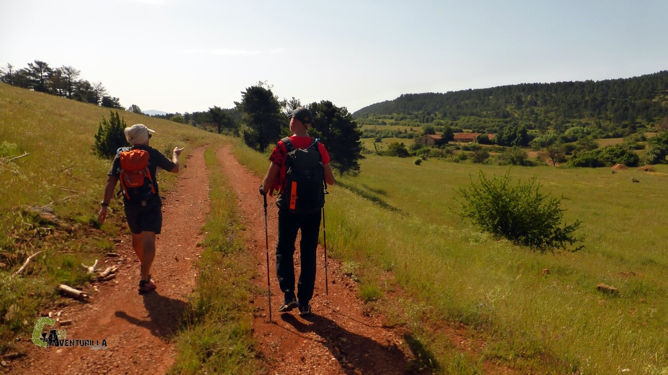 Pista forestal en Linares de Mora