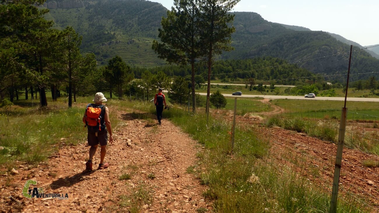 Llegando a la carretera