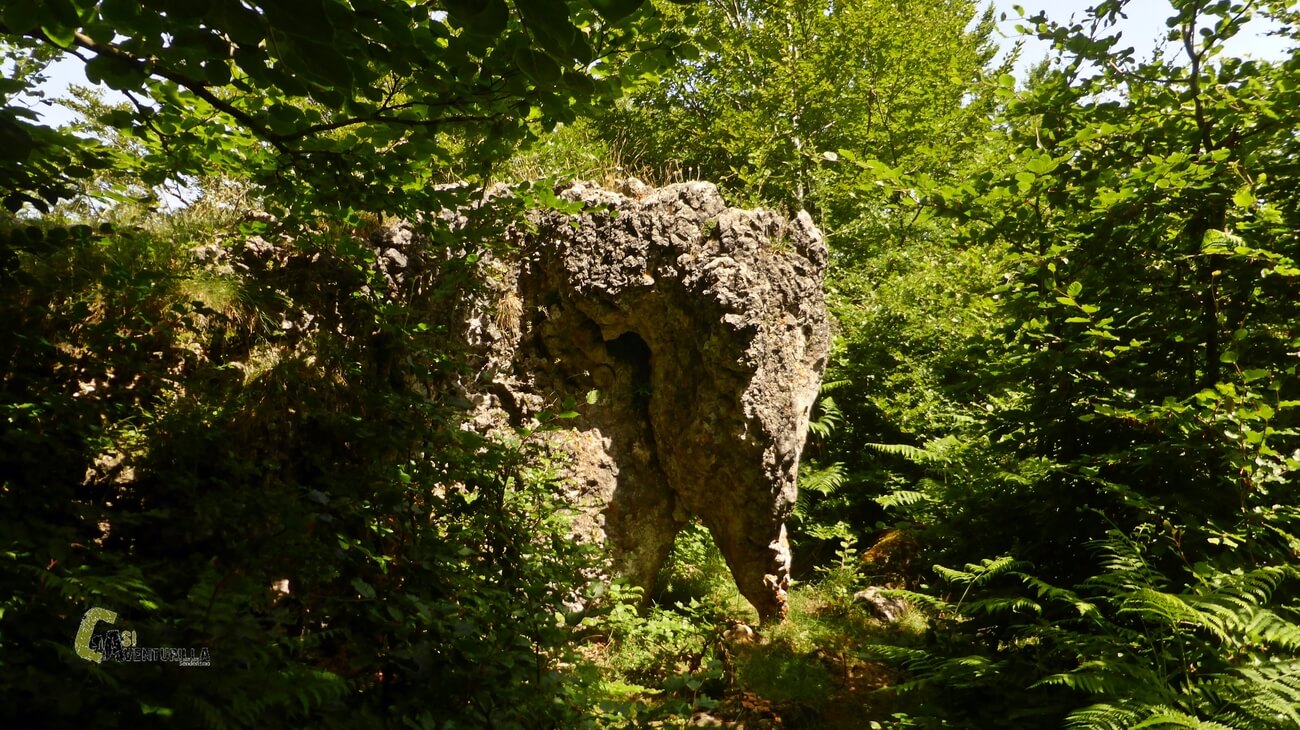 Piedra Elefante en la sierra de Entzia