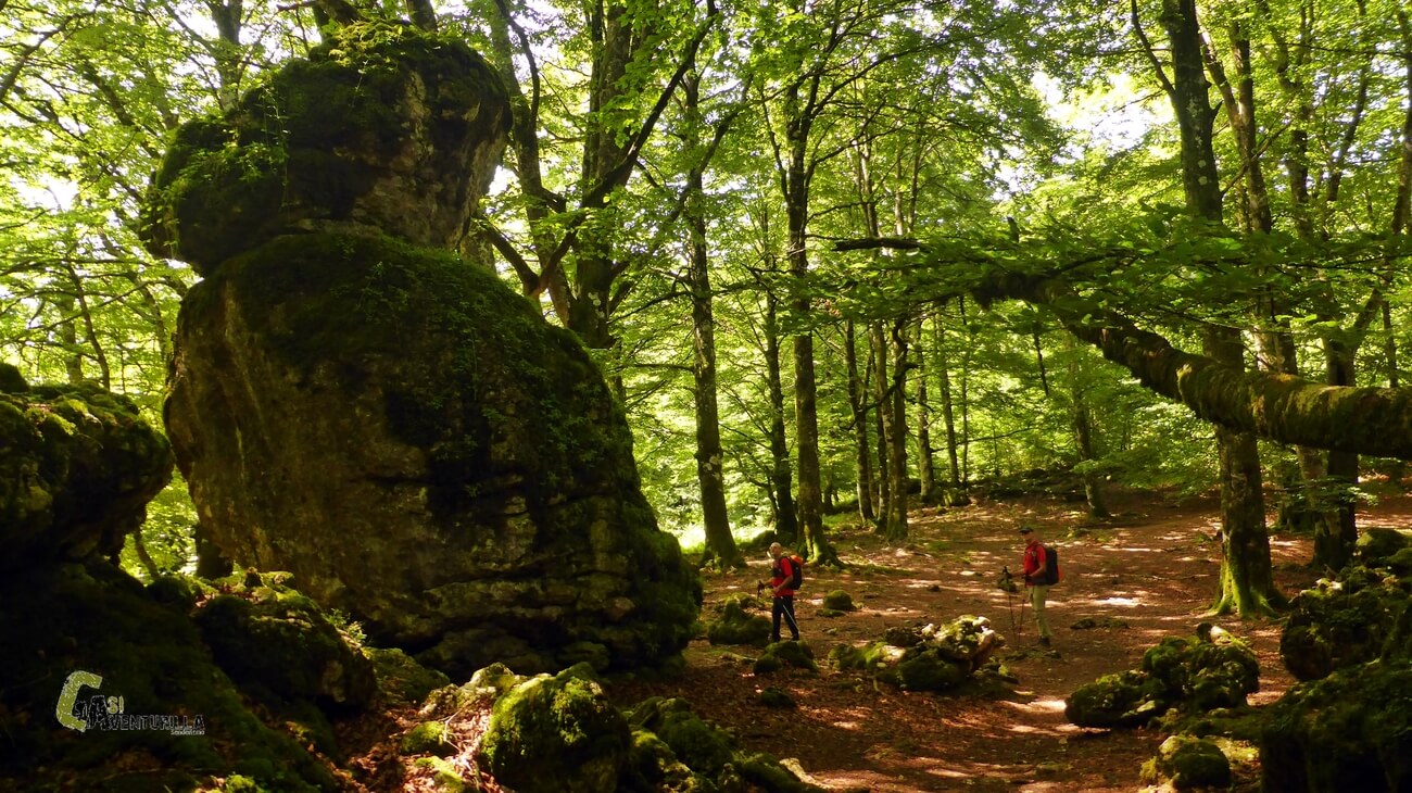 Entorno del laberinto de Arno