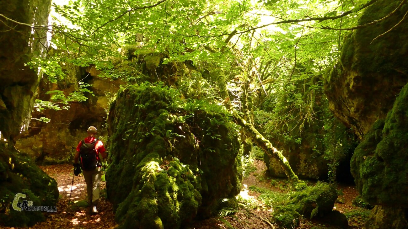 Dentro del laberinto de Katarri