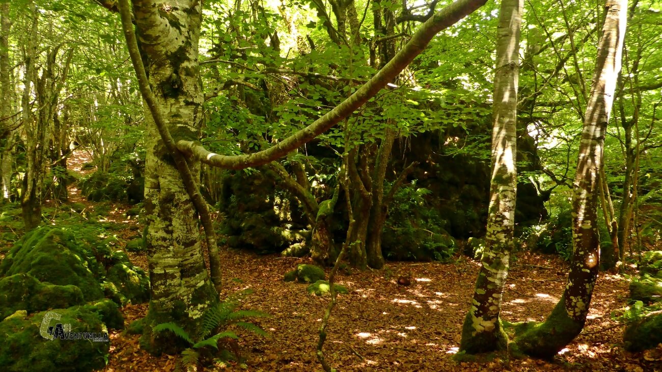 Rocas en el laberinto de Katarri