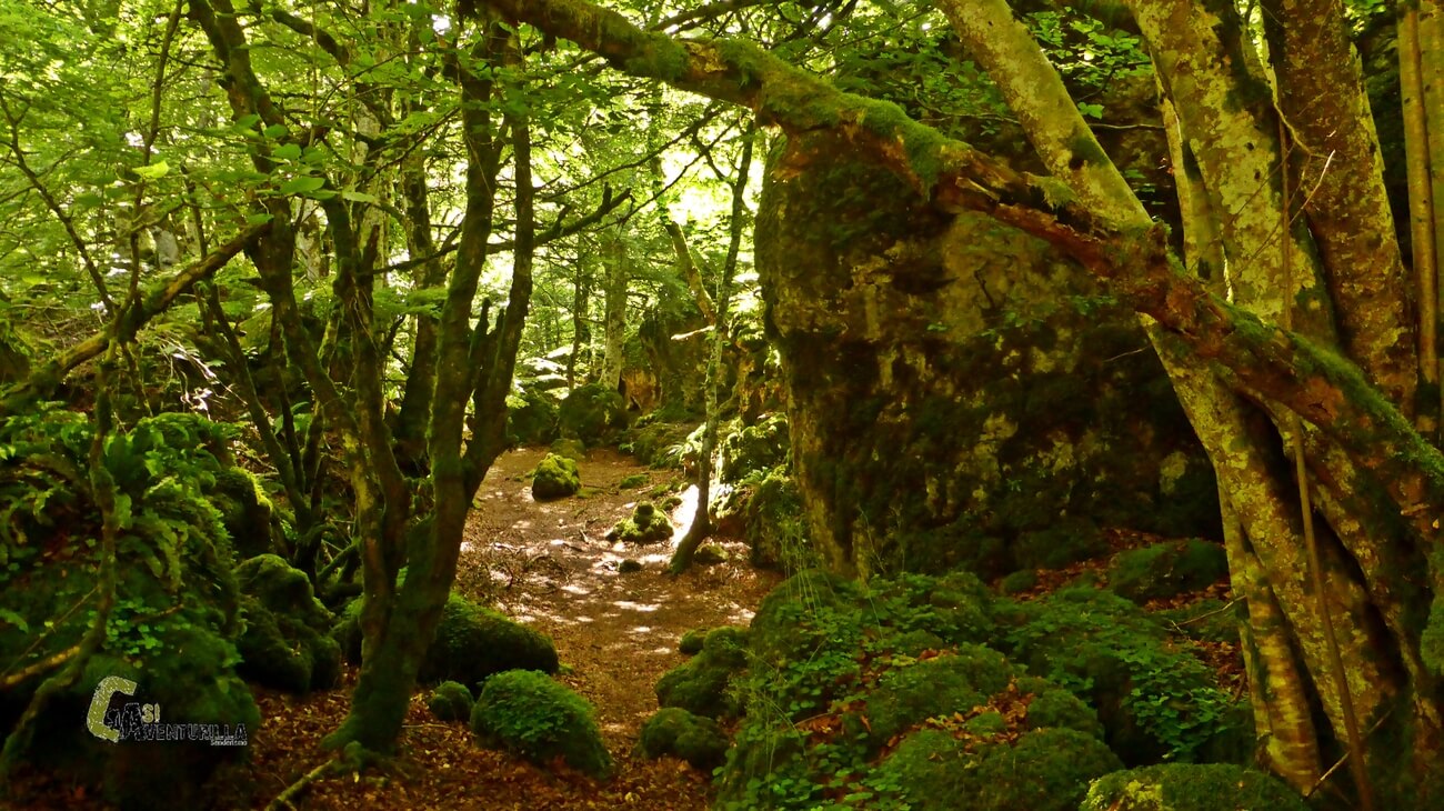 Dentro del laberinto de Arno
