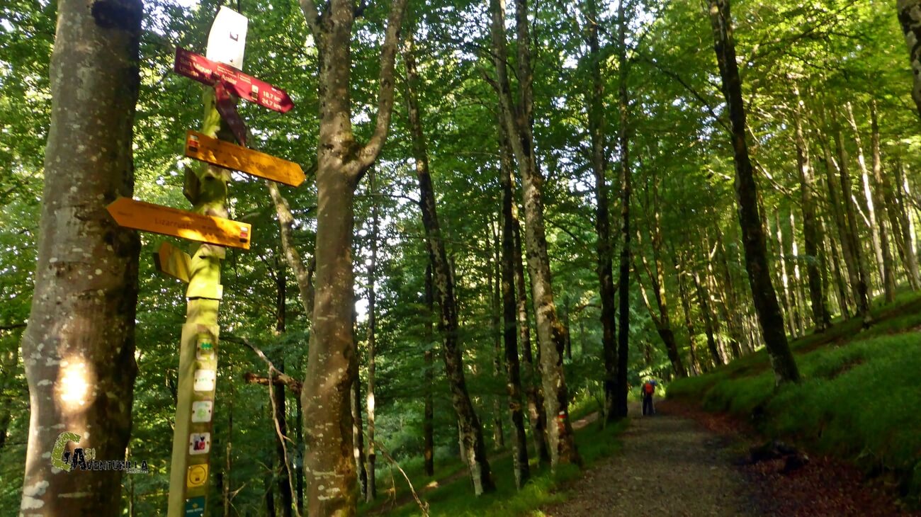 Nos desviamos por el Camino Natural de la Senda del Pastoreo