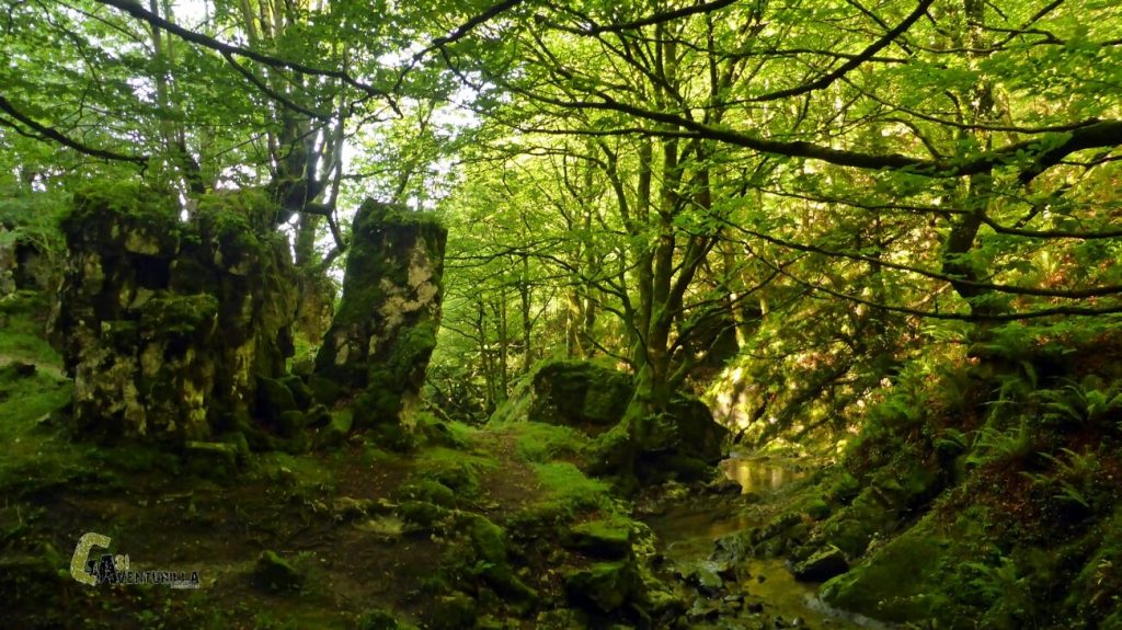Bosques de la sierra de Aralar