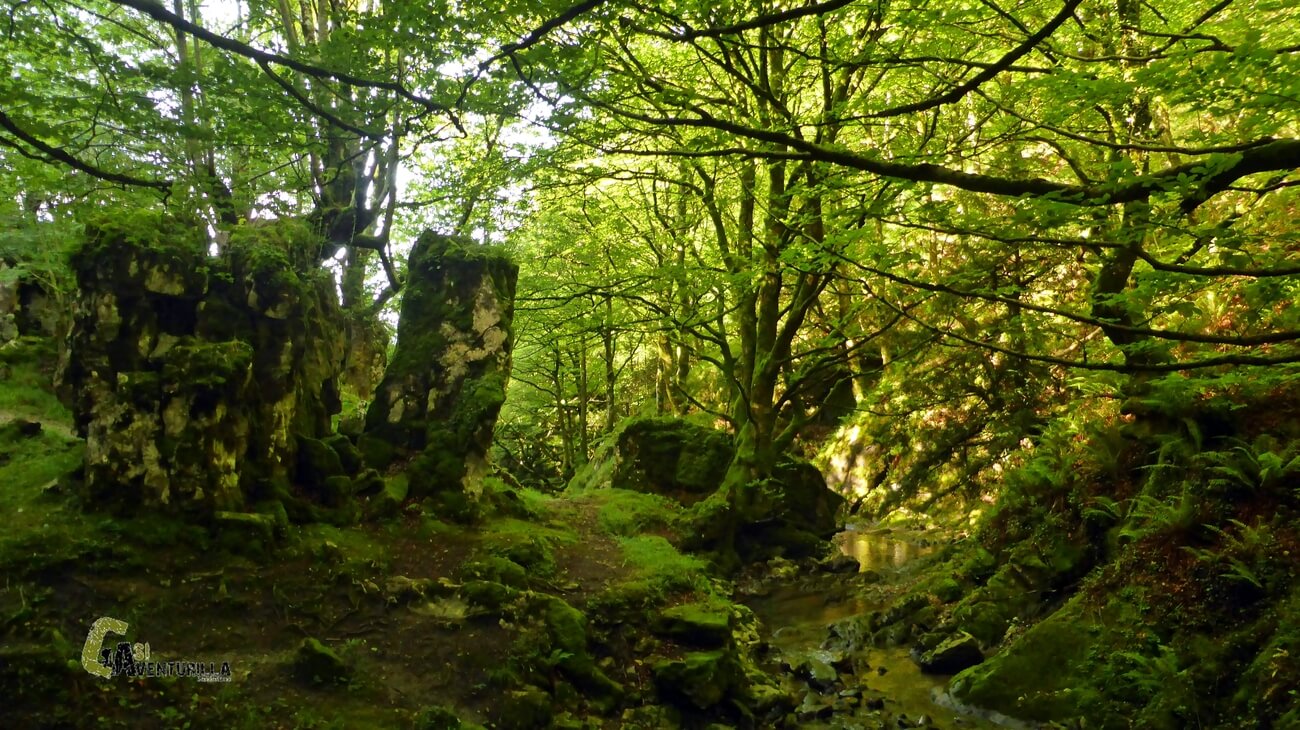 Bosques de la sierra de Aralar