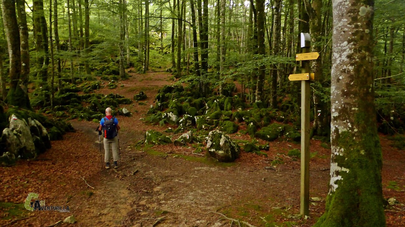 El GR 12 y GR 121 atravesando el bosque de hayas