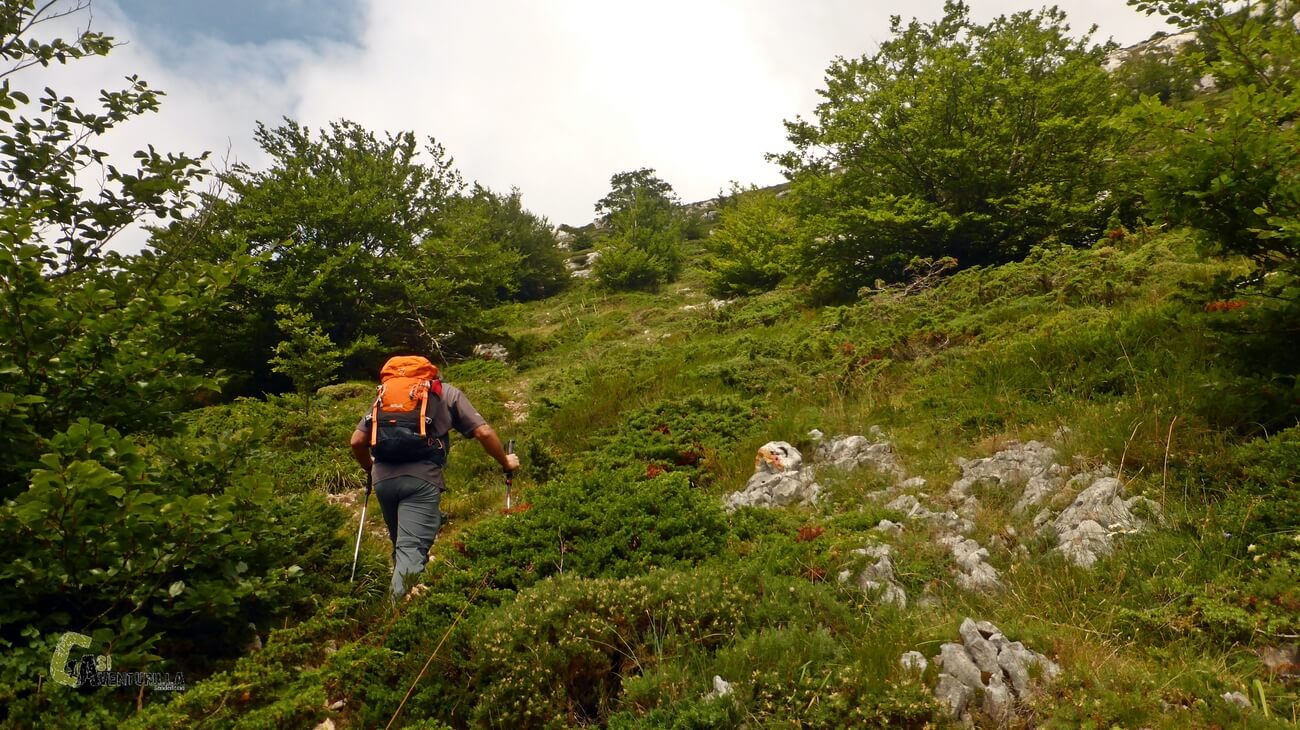 Dejamos atrás el bosque para llegar a la cima del pico Aratz