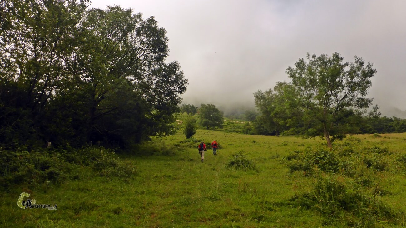 Subiendo la ladera con mucha vegetación