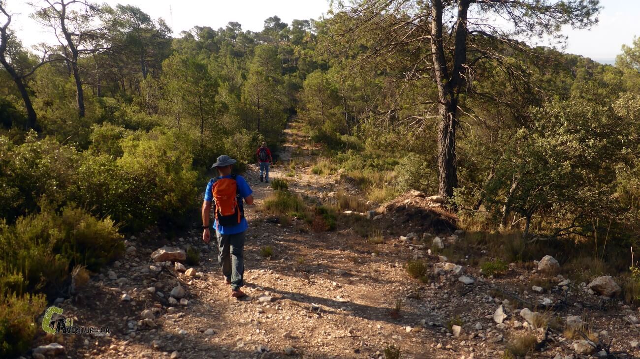 Descendiendo del pico Moluengo