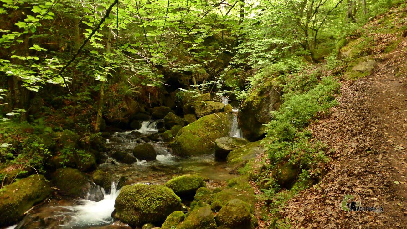 Pequeños saltos de agua en el rio Zirauntza