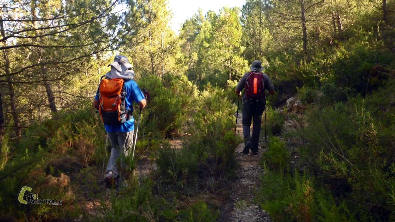Caminando por un camino con mucha vegetacion