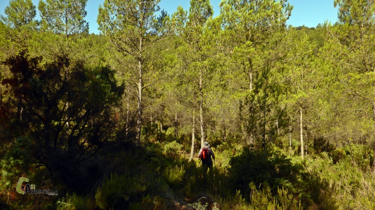Bajando al barranco