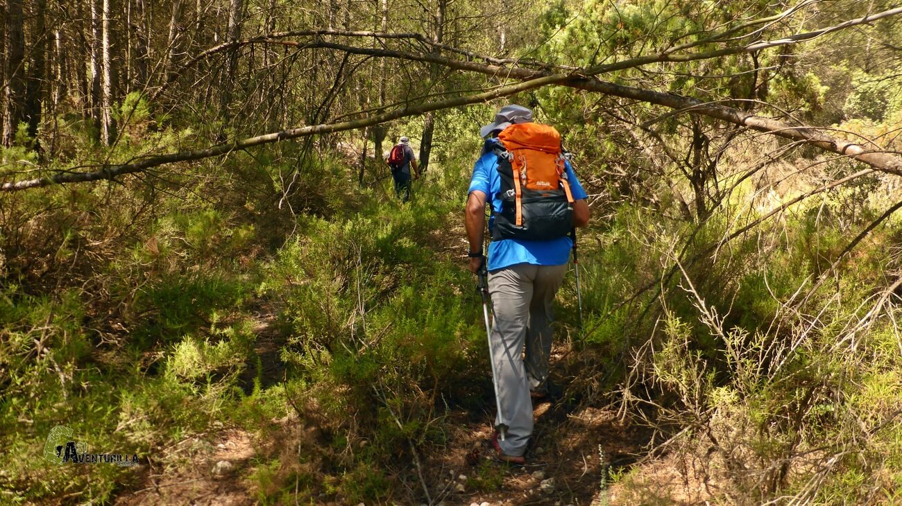 caminando por el camino intuitivo