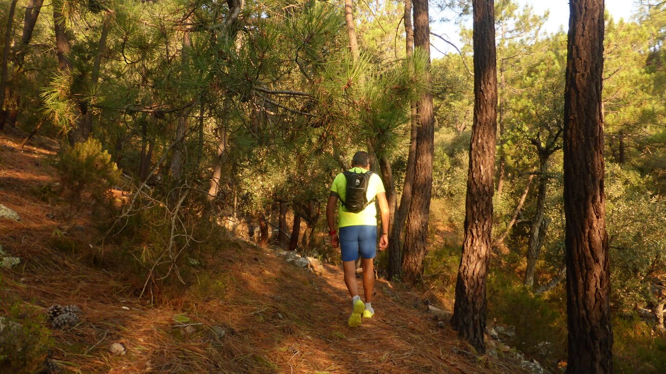 Caminando por la sierra de Espadan