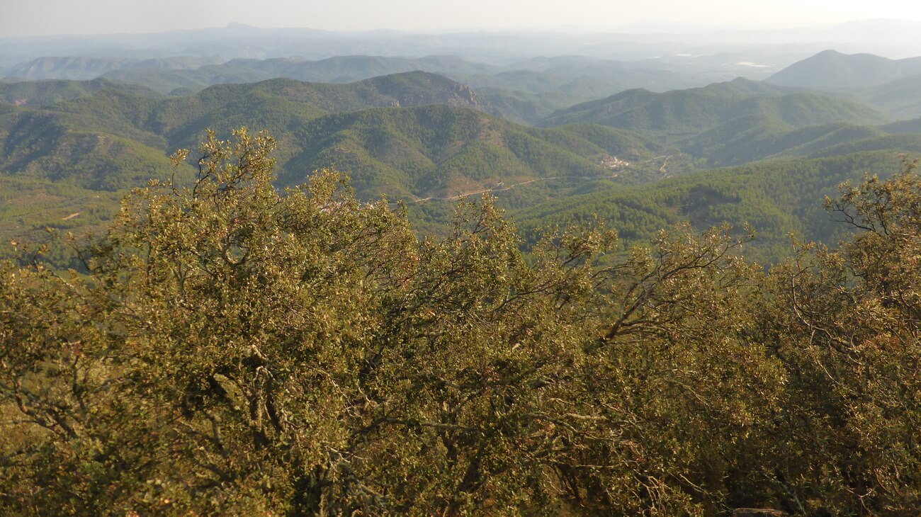 Asomandonos al valle desde la Peña Pastor