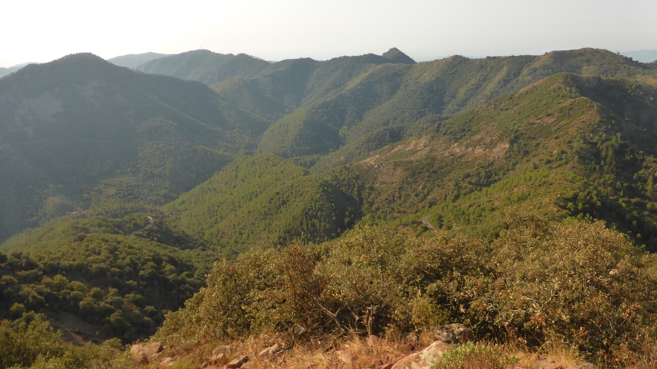 Sierra de Espadan desde la Peña Pastor