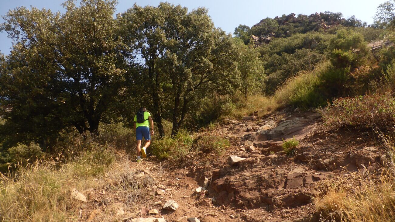 Subiendo por senda en la sierra de Espadan
