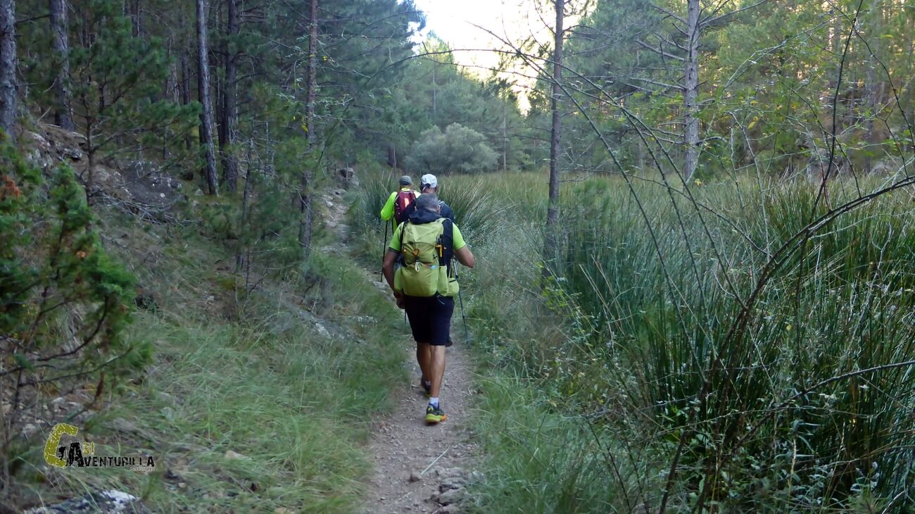 Sendero hacia la cascada de la Hiedra