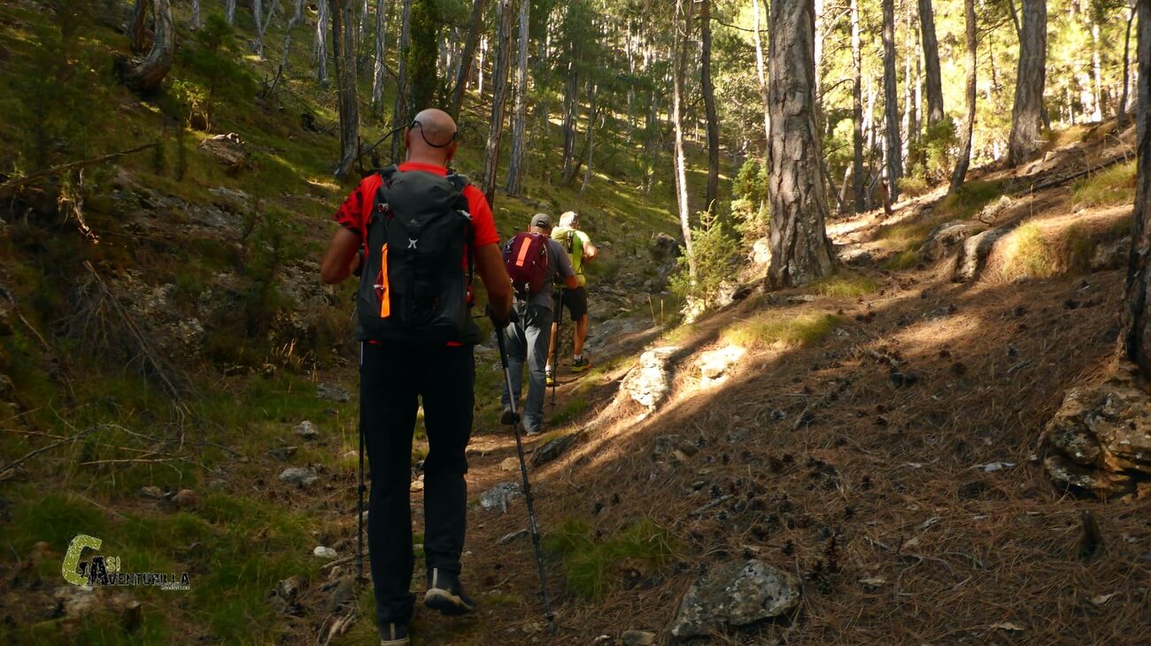 Subiendo por bonito sendero hacia el Olmedilla