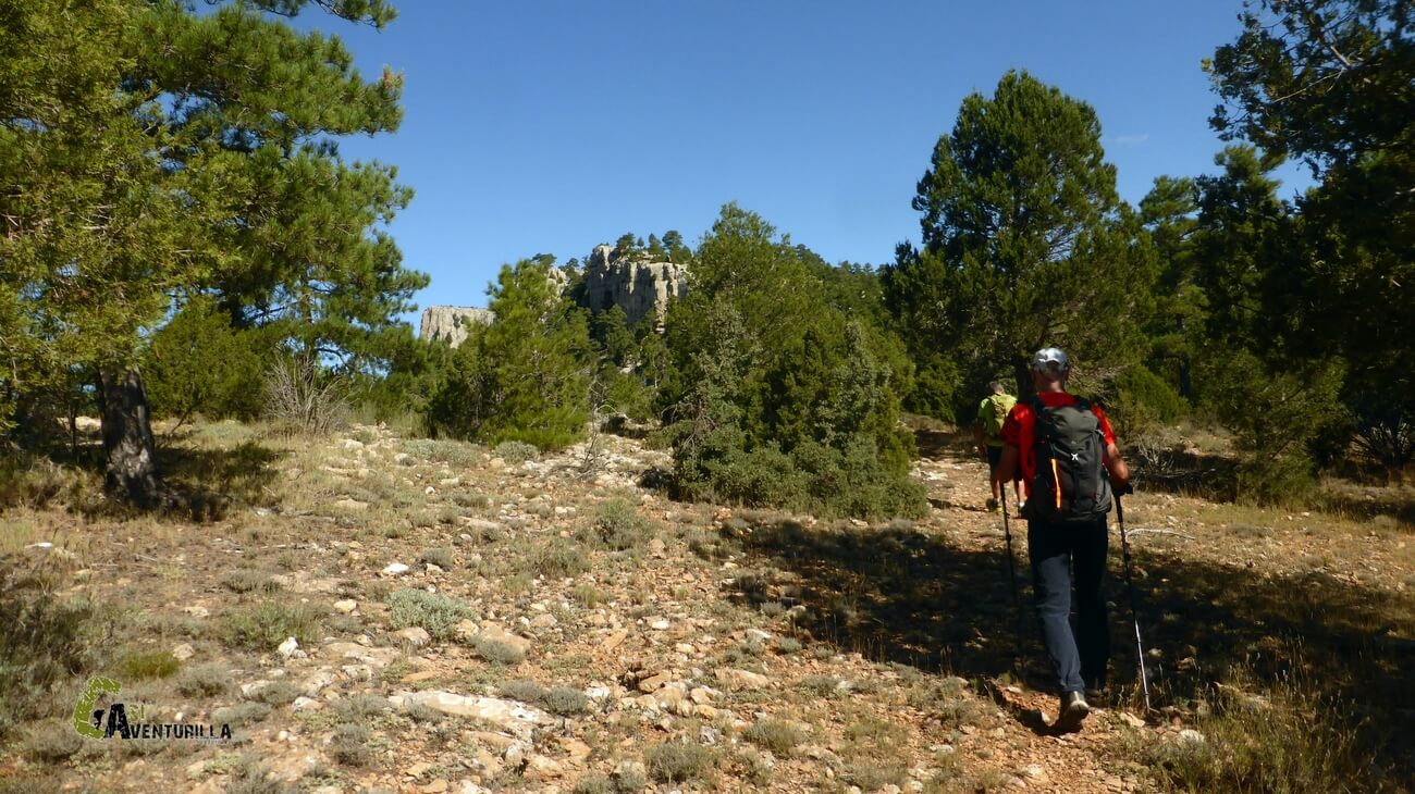 Senda hacia el Pico de la Olmedilla