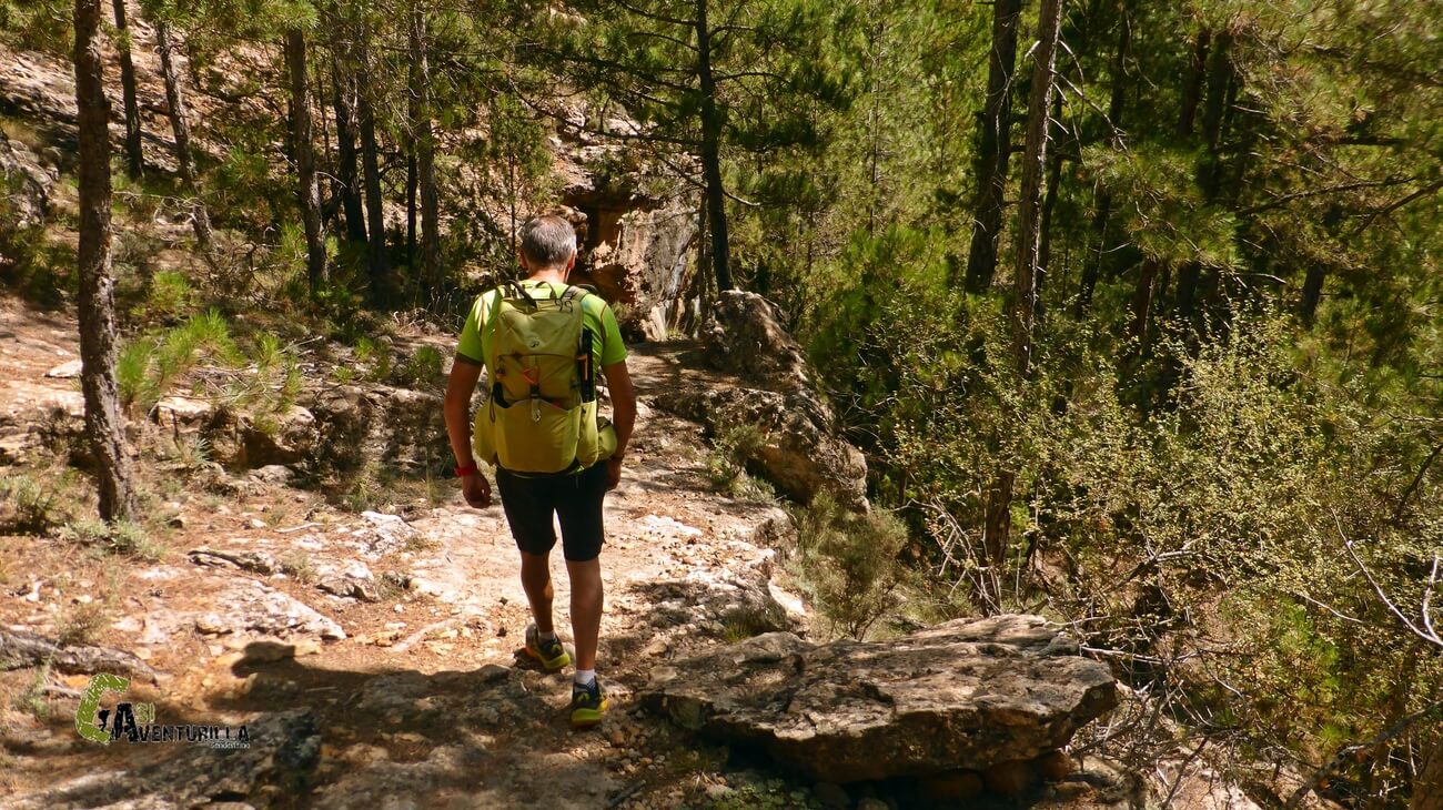 Bajando a fuen Narices por el barranco del Arco