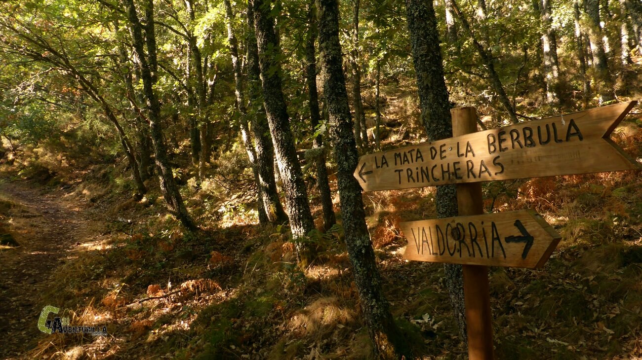 Indicaciones en el bosque