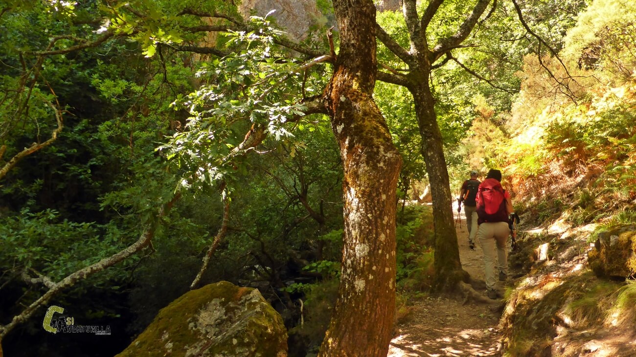 Sendero hacia la cascada de Nocedo