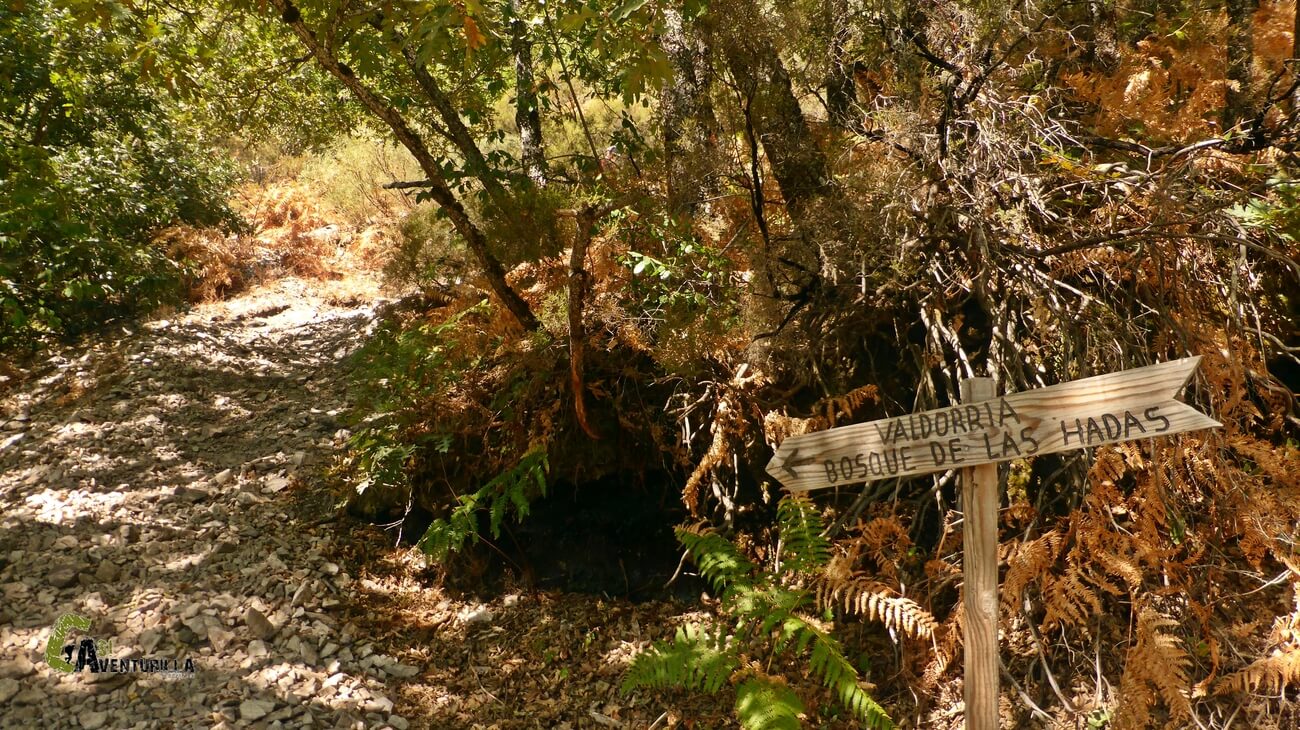 Sendero hacia el bosque de las Hadas