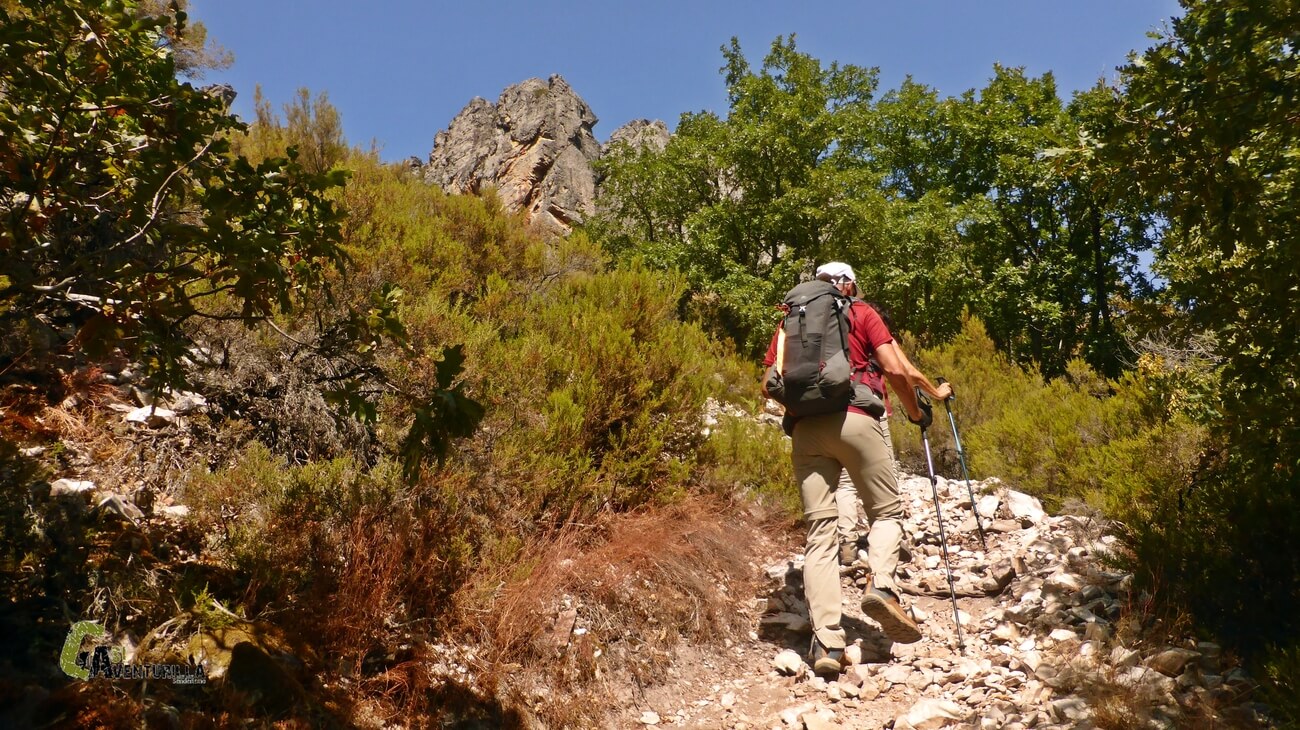 Sendero de subida desde la cascada de Nocedo
