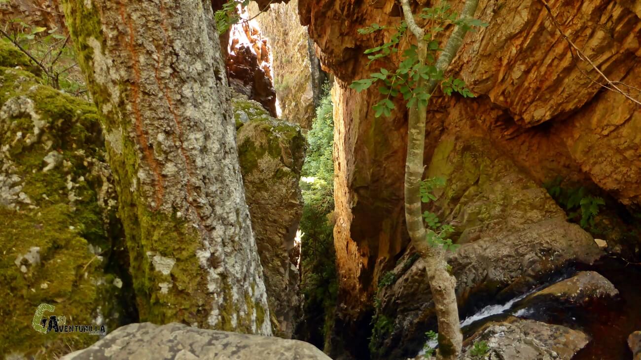 Parte alta de la cascada de Nocedo