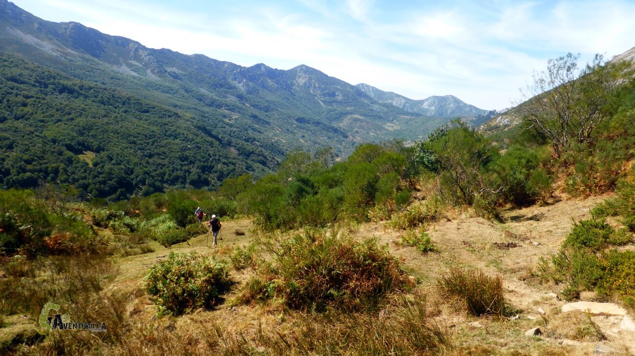 Caminando entre zona de retamas