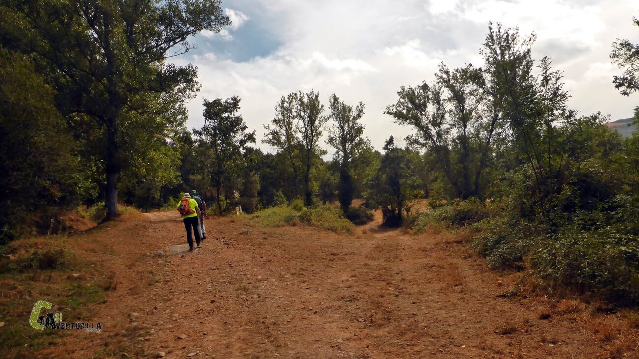 Por pista foresta para llegar al encinar