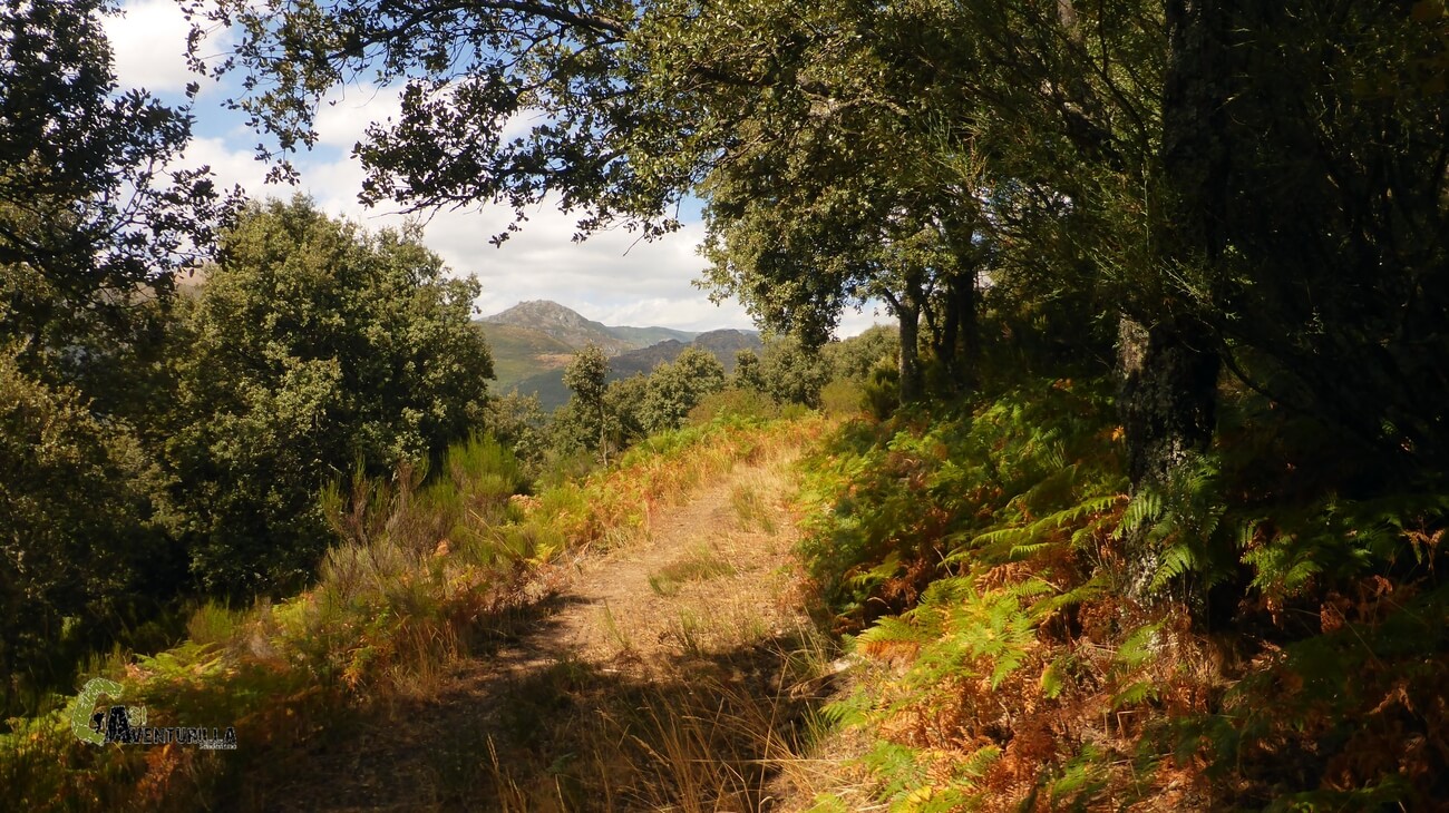 Sendero del encinar