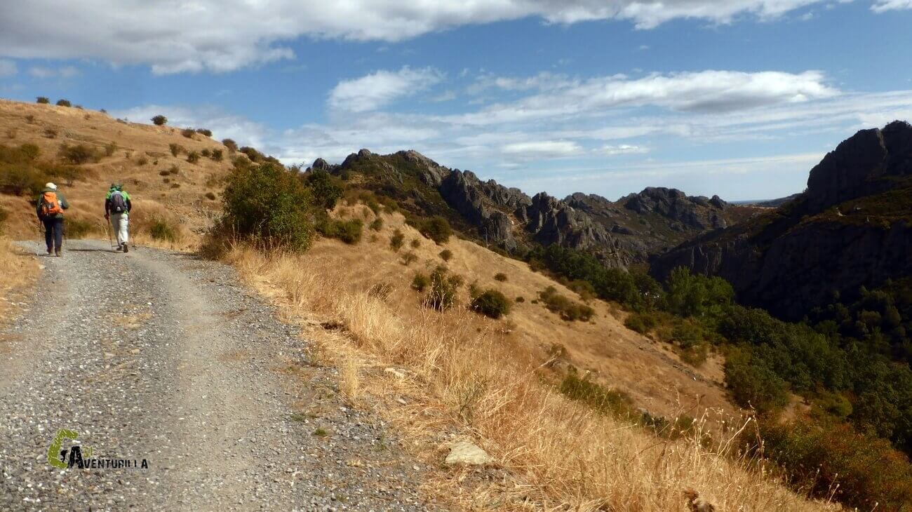 Por pista forestal hacia Valdorria