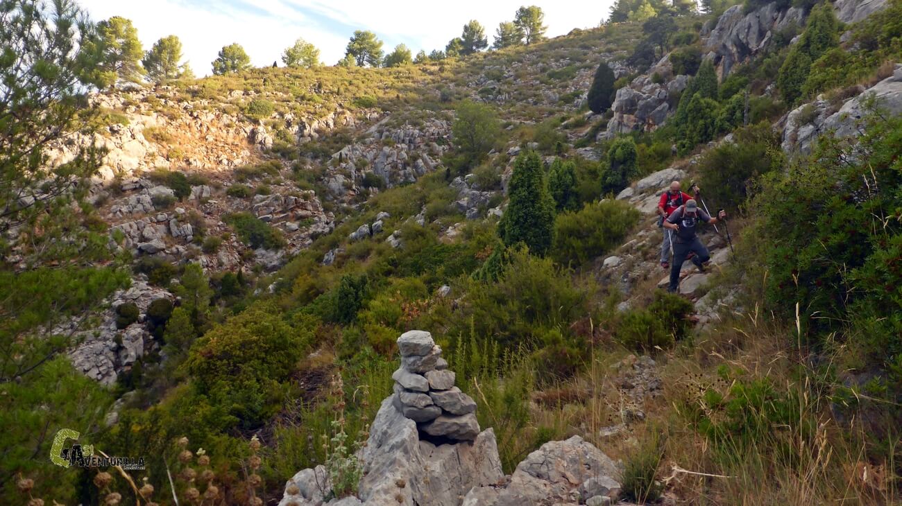 Senda marcada con hitos